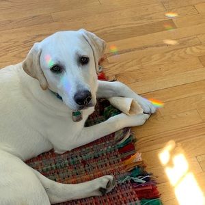 Meet your Posher, Ellie